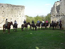 Discover an exiting ride in the heart of lengendary vineyards of Bordeaux area - Randocheval / Ride in France